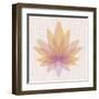 Yellow Lotus-null-Framed Art Print