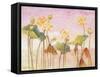 Yellow Lotus-Ailian Price-Framed Stretched Canvas