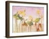 Yellow Lotus-Ailian Price-Framed Art Print