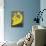 Yellow Lovers-Felix Podgurski-Art Print displayed on a wall