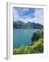 Yellow Lupins Beside Lake Wakatipu, Canterbury, South Island, New Zealand-Neale Clarke-Framed Photographic Print