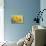 Yellow Marguerite-null-Stretched Canvas displayed on a wall