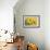 Yellow Marguerite-null-Framed Art Print displayed on a wall