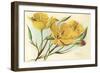 Yellow Mariposa Lily-null-Framed Art Print