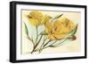 Yellow Mariposa Lily-null-Framed Art Print