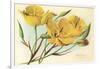 Yellow Mariposa Lily-null-Framed Art Print