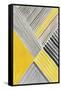 Yellow Mikado II-Tom Reeves-Framed Stretched Canvas