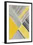 Yellow Mikado II-Tom Reeves-Framed Art Print