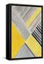 Yellow Mikado II-Tom Reeves-Framed Stretched Canvas