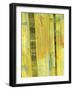 Yellow Mix II-Ricki Mountain-Framed Art Print