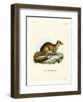 Yellow Mongoose-null-Framed Giclee Print