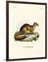 Yellow Mongoose-null-Framed Giclee Print