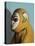 Yellow Monkey, 2006,-Peter Jones-Stretched Canvas