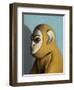 Yellow Monkey, 2006,-Peter Jones-Framed Giclee Print