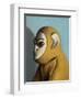 Yellow Monkey, 2006,-Peter Jones-Framed Giclee Print