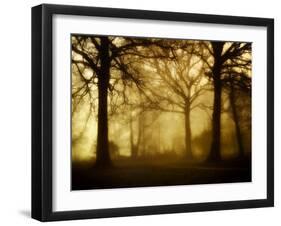 Yellow Morning-Philippe Manguin-Framed Photographic Print