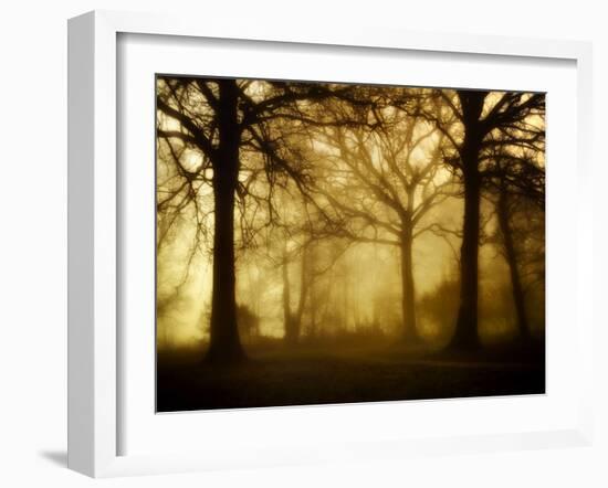 Yellow Morning-Philippe Manguin-Framed Photographic Print