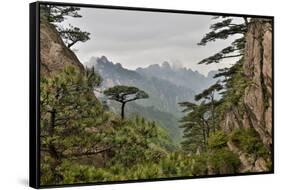 Yellow Mountains a UNESCO World Heritage Site-Darrell Gulin-Framed Stretched Canvas