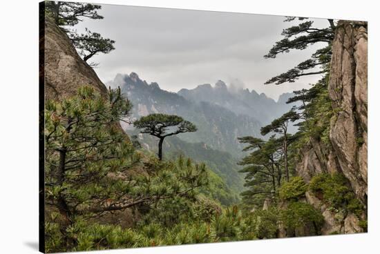 Yellow Mountains a UNESCO World Heritage Site-Darrell Gulin-Stretched Canvas