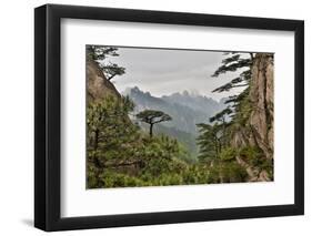 Yellow Mountains a UNESCO World Heritage Site-Darrell Gulin-Framed Photographic Print