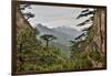 Yellow Mountains a UNESCO World Heritage Site-Darrell Gulin-Framed Photographic Print