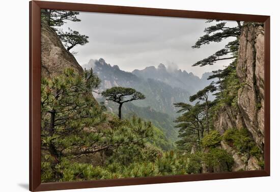 Yellow Mountains a UNESCO World Heritage Site-Darrell Gulin-Framed Photographic Print