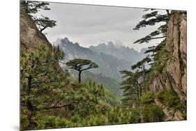 Yellow Mountains a UNESCO World Heritage Site-Darrell Gulin-Mounted Premium Photographic Print