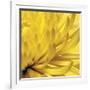 Yellow Mum 2-Jenny Kraft-Framed Art Print