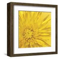 Yellow Mum 3-Jenny Kraft-Framed Art Print