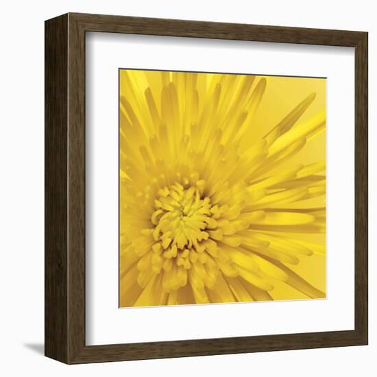 Yellow Mum 3-Jenny Kraft-Framed Art Print