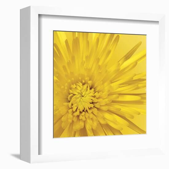 Yellow Mum 3-Jenny Kraft-Framed Art Print