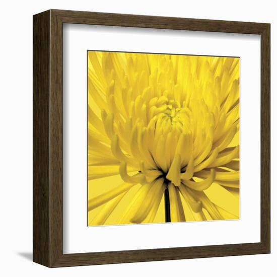 Yellow Mum 4-Jenny Kraft-Framed Art Print