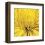 Yellow Mum 4-Jenny Kraft-Framed Art Print