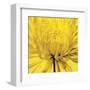 Yellow Mum 4-Jenny Kraft-Framed Art Print