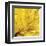 Yellow Mum II-Jenny Kraft-Framed Giclee Print