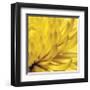 Yellow Mum II-Jenny Kraft-Framed Giclee Print