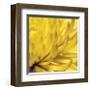 Yellow Mum II-Jenny Kraft-Framed Giclee Print