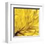 Yellow Mum II-Jenny Kraft-Framed Giclee Print