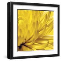 Yellow Mum II-Jenny Kraft-Framed Giclee Print