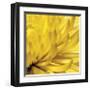 Yellow Mum II-Jenny Kraft-Framed Giclee Print