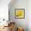 Yellow Mum II-Jenny Kraft-Framed Giclee Print displayed on a wall