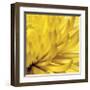 Yellow Mum II-Jenny Kraft-Framed Giclee Print