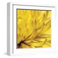 Yellow Mum II-Jenny Kraft-Framed Giclee Print