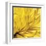 Yellow Mum II-Jenny Kraft-Framed Giclee Print