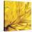 Yellow Mum II-Jenny Kraft-Stretched Canvas