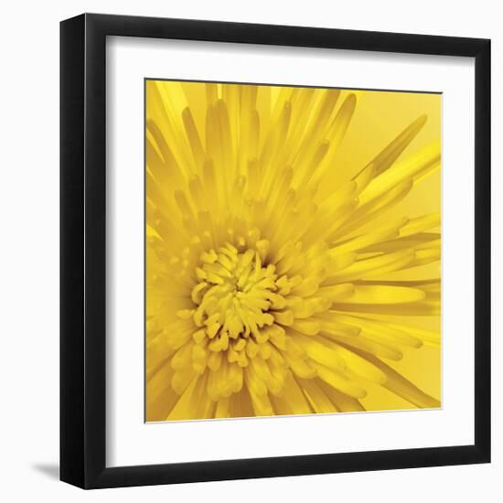 Yellow Mum III-Jenny Kraft-Framed Giclee Print