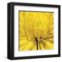 Yellow Mum IV-Jenny Kraft-Framed Giclee Print