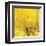 Yellow Mum IV-Jenny Kraft-Framed Giclee Print