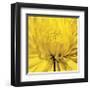 Yellow Mum IV-Jenny Kraft-Framed Giclee Print