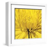 Yellow Mum IV-Jenny Kraft-Framed Giclee Print